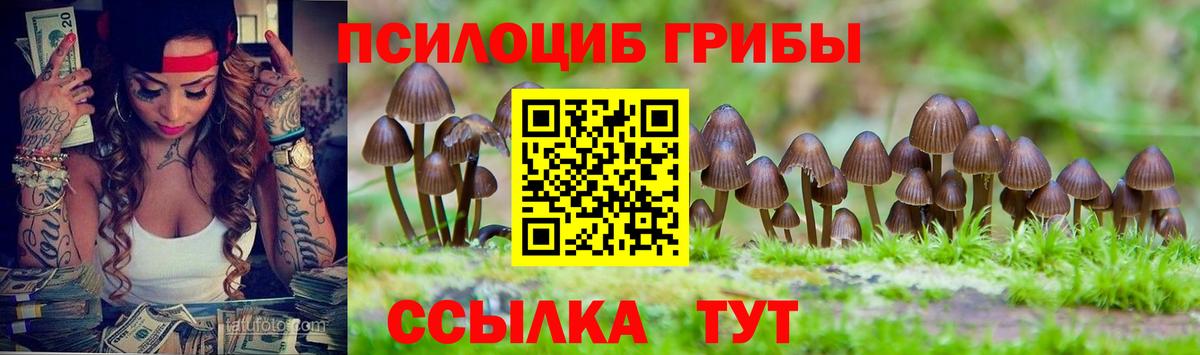 Псилоцибиновые грибы MAGIC MUSHROOMS  Вход с VPN  Егорьевск 